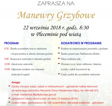 plecemin grzybobranie.jpg